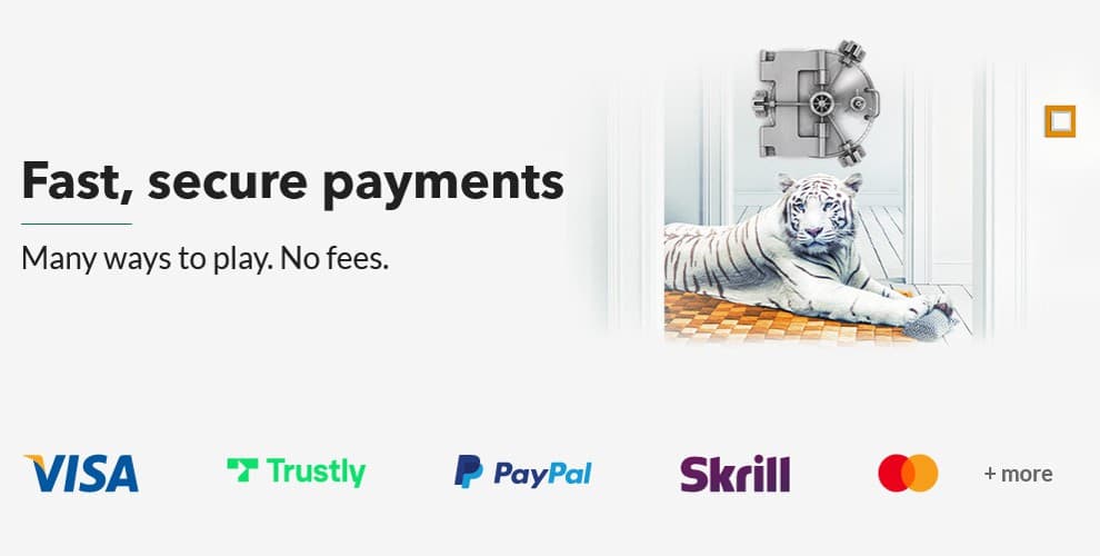 Secure payments at Skol