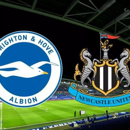 Fight of the Underdogs: Brighton VS Newcastle United